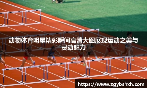 k1体育网页版