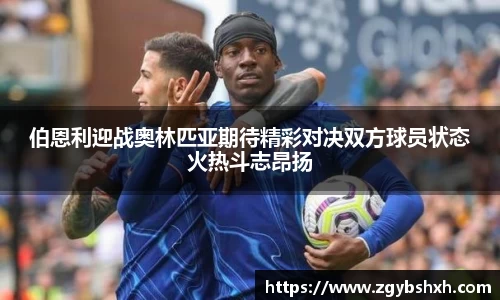 k1体育官方网站